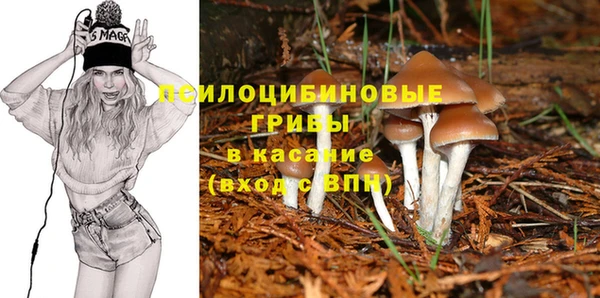МДПВ Заволжск