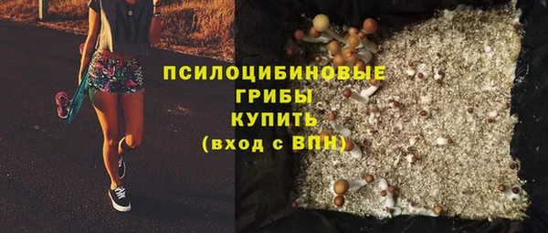 марихуана Заводоуковск