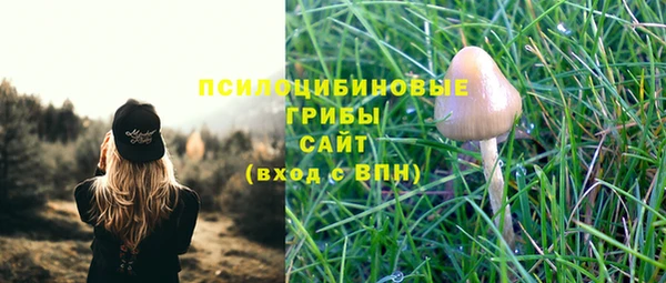 марихуана Заводоуковск