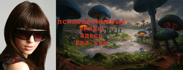 марихуана Заводоуковск