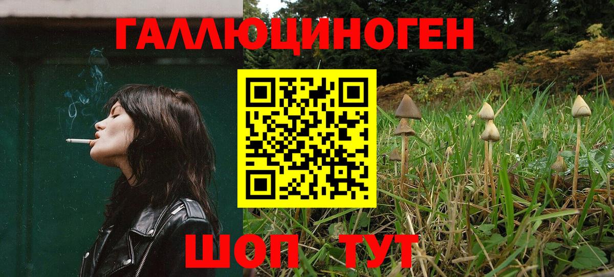 Псилоцибиновые грибы Cubensis  Владивосток 