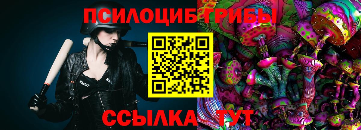Галлюциногенные грибы GOLDEN TEACHER Владивосток